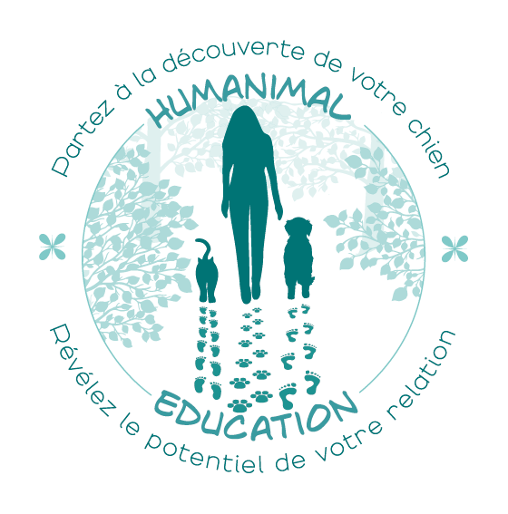 Il s’agit de chiens qui sont habitués à se côtoyer, à partager des activités de chiens ensemble. Leurs besoins sociaux sont ainsi comblés, mais également leurs besoins exploratoires, de dépenses physiques et mentales.