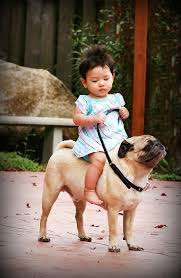 enfant dos chien enfant chien